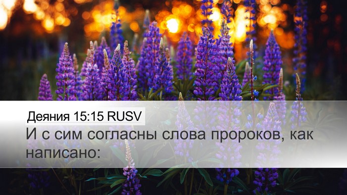 Деяния 15:15 RUSV Bible Verse Image