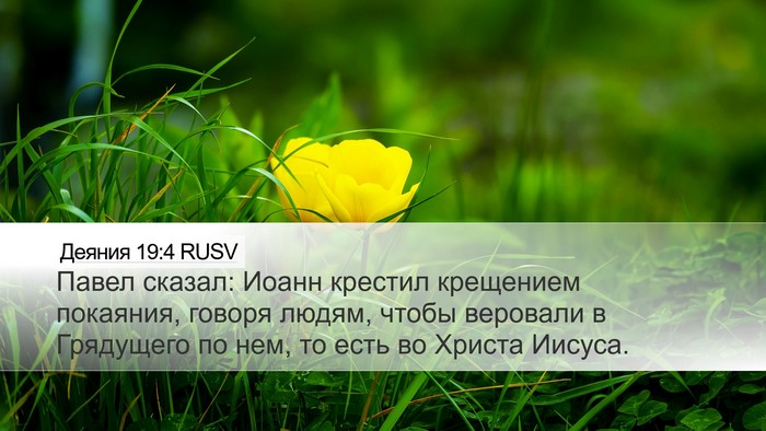 Деяния 19:4 RUSV Bible Verse Image