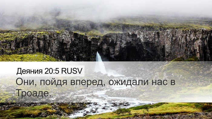 Деяния 20:5 RUSV Bible Verse Image