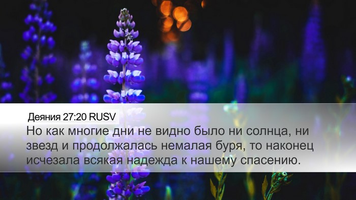 Деяния 27:20 RUSV Bible Verse Image
