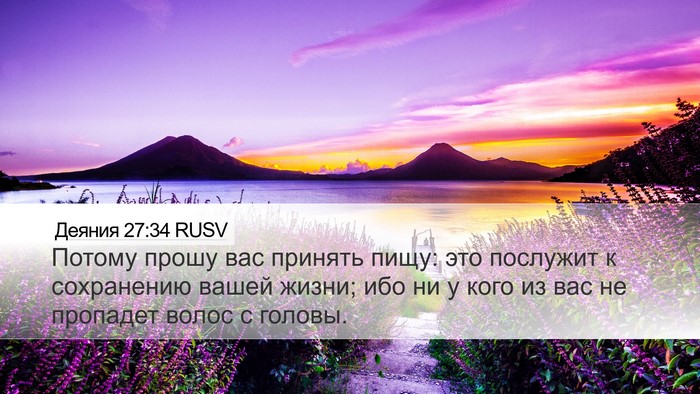 Деяния 27:34 RUSV Bible Verse Image