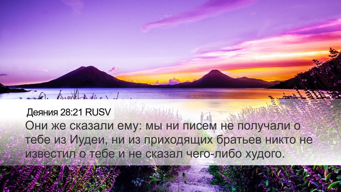 Деяния 28:21 RUSV Bible Verse Image