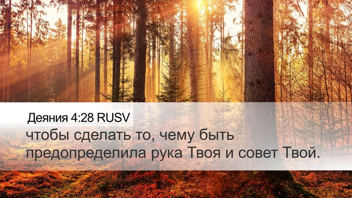 Деяния 4:28 RUSV Bible Verse Image