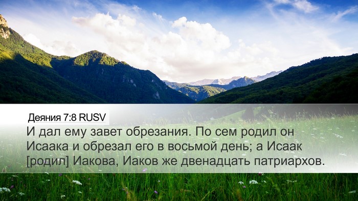 Деяния 7:8 RUSV Bible Verse Image
