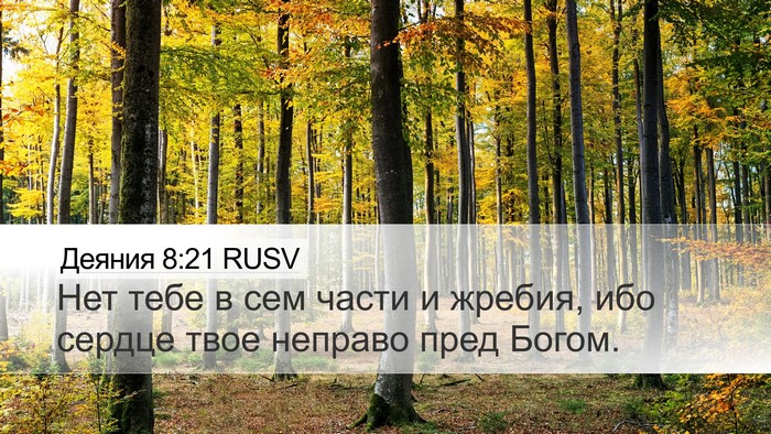 Деяния 8:21 RUSV Bible Verse Image