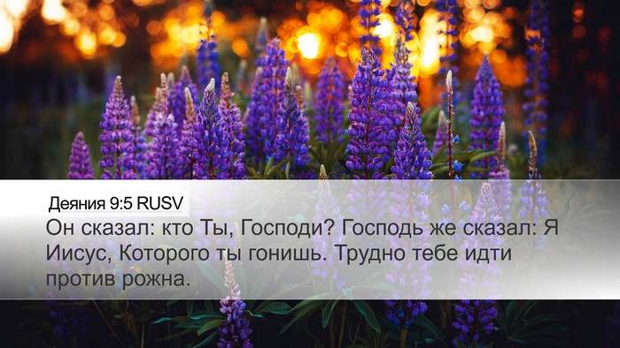 Деяния 9:5 RUSV Bible Verse Image