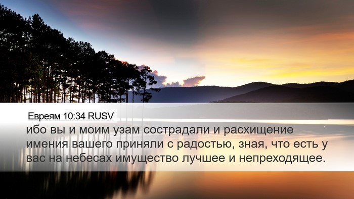 Евреям 10:34 RUSV Bible Verse Image