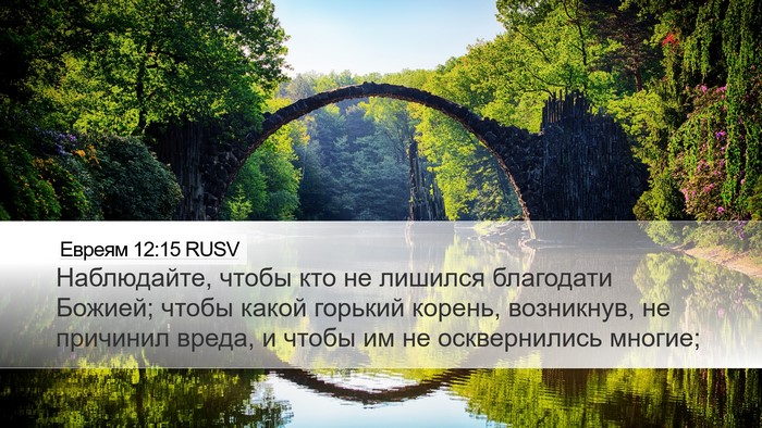 Евреям 12:15 RUSV Bible Verse Image