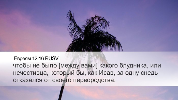 Евреям 12:16 RUSV Bible Verse Image