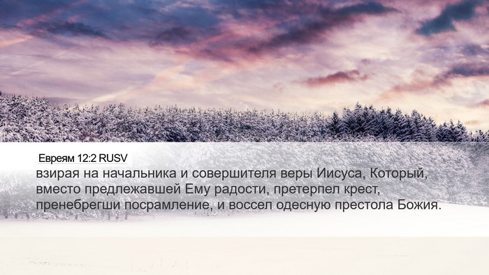 Евреям 12:2 RUSV Bible Verse Image