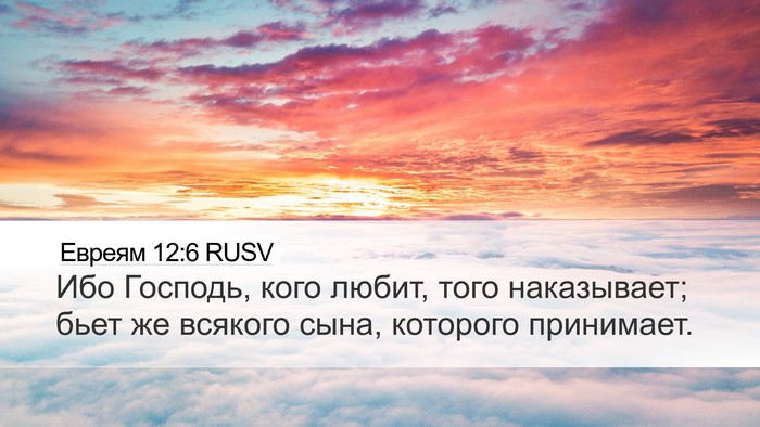 Евреям 12:6 RUSV Bible Verse Image
