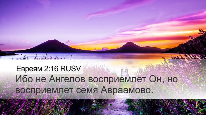Евреям 2:16 RUSV Desktop Wallpaper - Ибо не Ангелов восприемлет - Desktop Bible Verse Wallpaper
