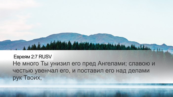 Евреям 2:7 RUSV Bible Verse Image