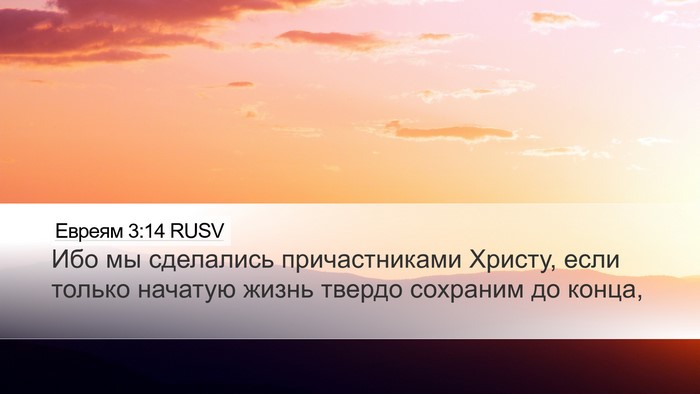 Евреям 3:14 RUSV Bible Verse Image