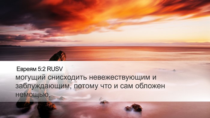 Евреям 5:2 RUSV Bible Verse Image