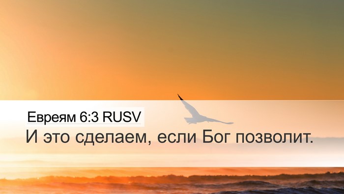 Евреям 6:3 RUSV Bible Verse Image