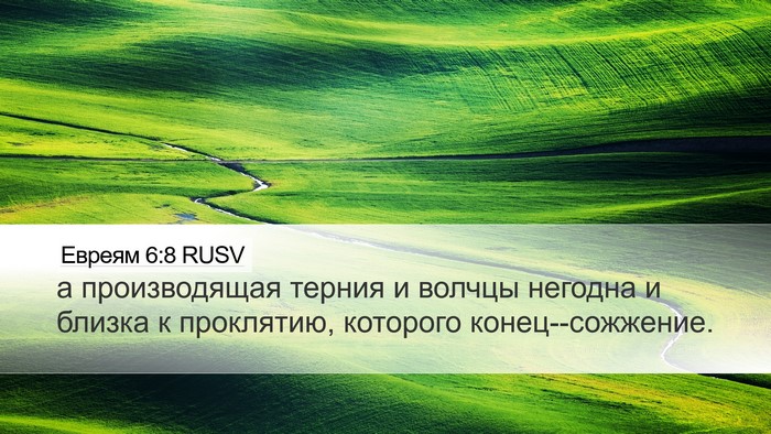 Евреям 6:8 RUSV Bible Verse Image
