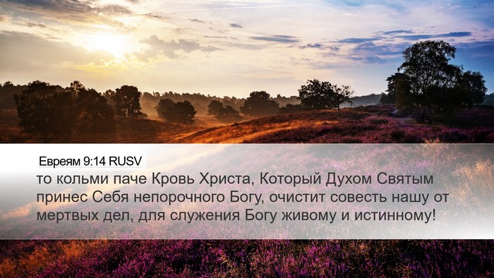 Евреям 9:14 RUSV Bible Verse Image
