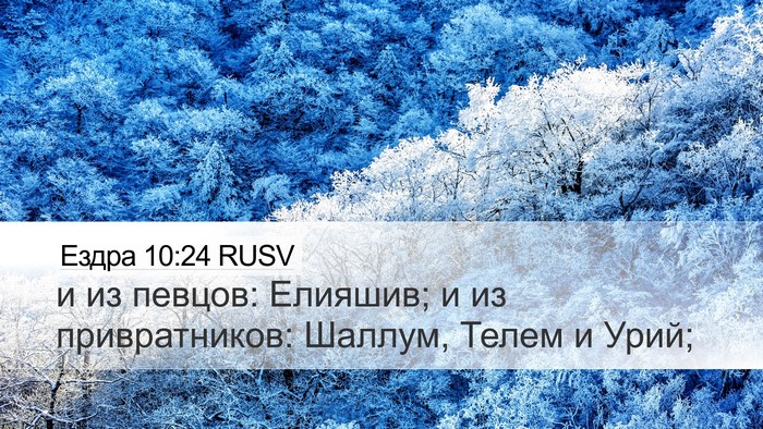 Ездра 10:24 RUSV Desktop Wallpaper - и из певцов: Елияшив; и из - Desktop Bible Verse Wallpaper