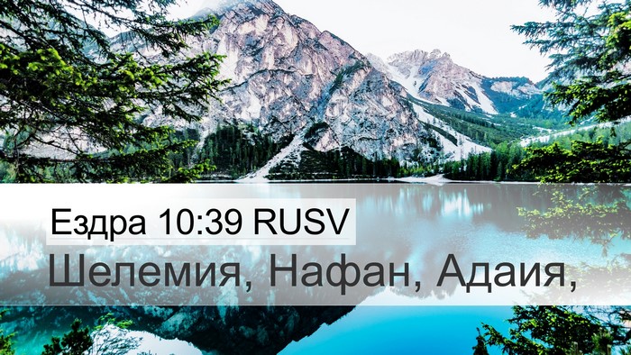Ездра 10:39 RUSV Desktop Wallpaper - Шелемия, Нафан, - Desktop Bible Verse Wallpaper