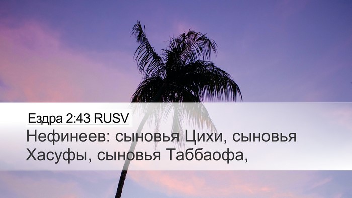 Ездра 2:43 RUSV Bible Verse Image