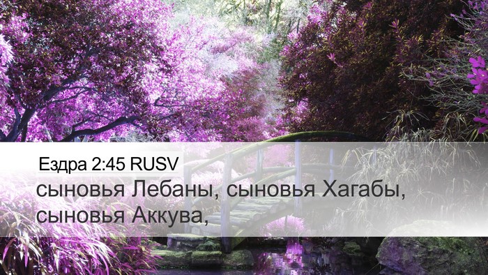 Ездра 2:45 RUSV Bible Verse Image