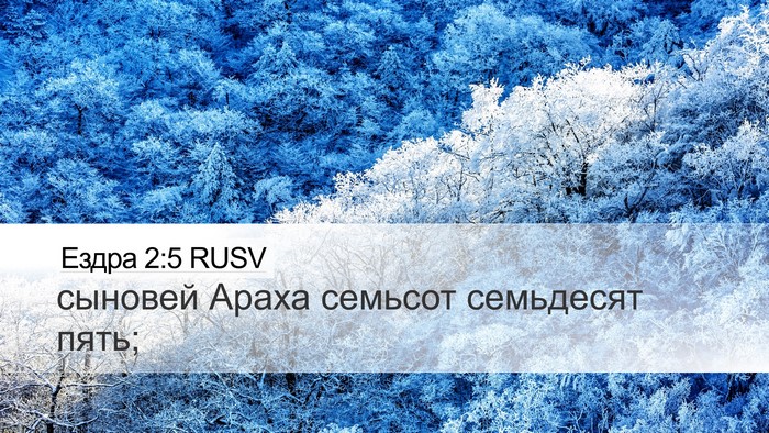 Ездра 2:5 RUSV Bible Verse Image