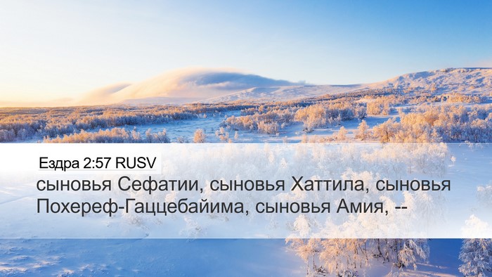 Ездра 2:57 RUSV Bible Verse Image