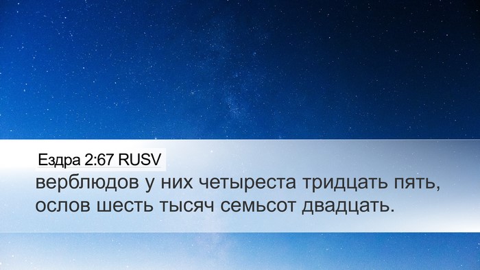Ездра 2:67 RUSV Desktop Wallpaper - верблюдов у них четыреста - Desktop Bible Verse Wallpaper