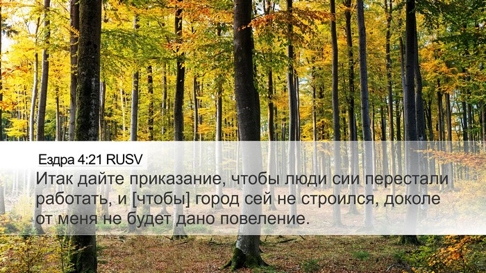 Ездра 4:21 RUSV Desktop Wallpaper - Итак дайте приказание, - Desktop Bible Verse Wallpaper