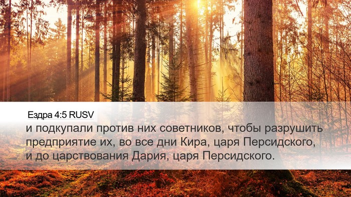 Ездра 4:5 RUSV Bible Verse Image