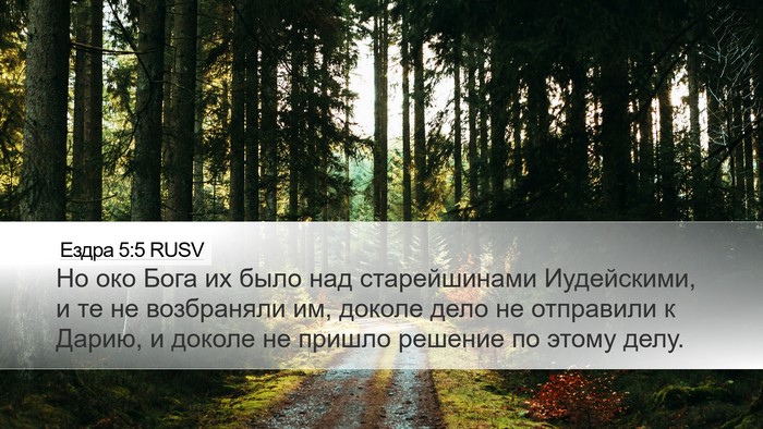 Ездра 5:5 RUSV Bible Verse Image