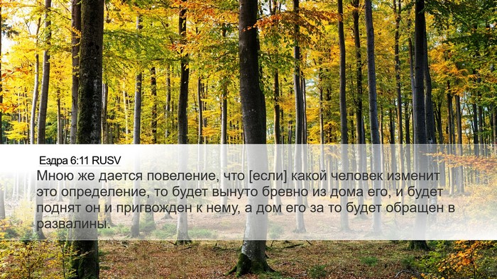 Ездра 6:11 RUSV Bible Verse Image