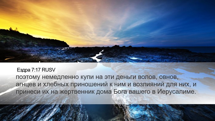Ездра 7:17 RUSV Desktop Wallpaper - поэтому немедленно купи на - Desktop Bible Verse Wallpaper