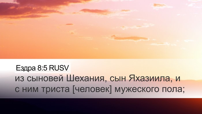 Ездра 8:5 RUSV Desktop Wallpaper - из сыновей Шехания, сын - Desktop Bible Verse Wallpaper