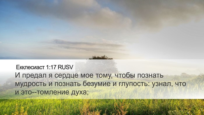 Екклесиаст 1:17 RUSV Bible Verse Image
