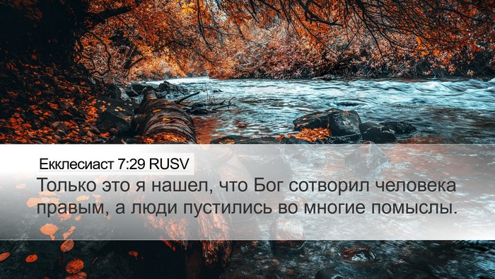 Екклесиаст 7:29 RUSV Bible Verse Image