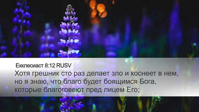 Екклесиаст 8:12 RUSV Bible Verse Image
