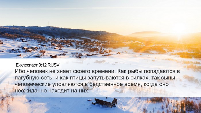 Екклесиаст 9:12 RUSV Bible Verse Image