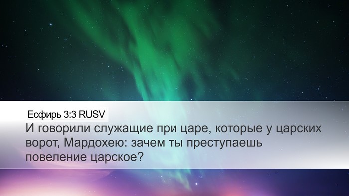 Есфирь 3:3 RUSV Desktop Wallpaper - И говорили служащие при - Desktop Bible Verse Wallpaper