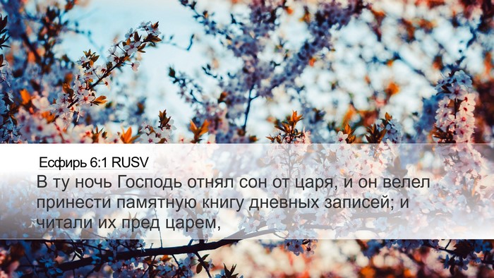 Есфирь 6:1 RUSV Bible Verse Image