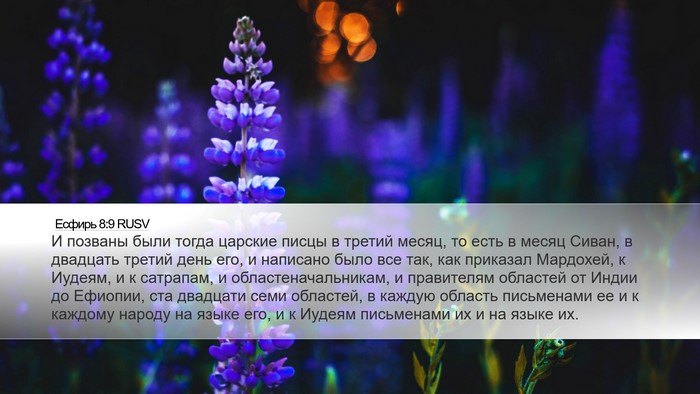 Есфирь 8:9 RUSV Bible Verse Image