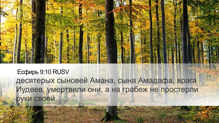 Есфирь 9:10 RUSV Bible Verse Image