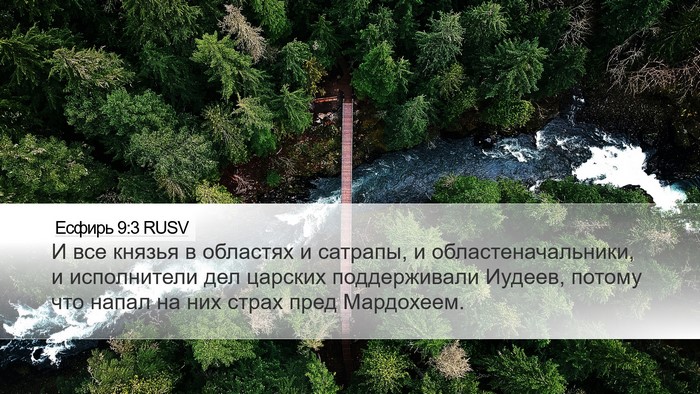 Есфирь 9:3 RUSV Bible Verse Image