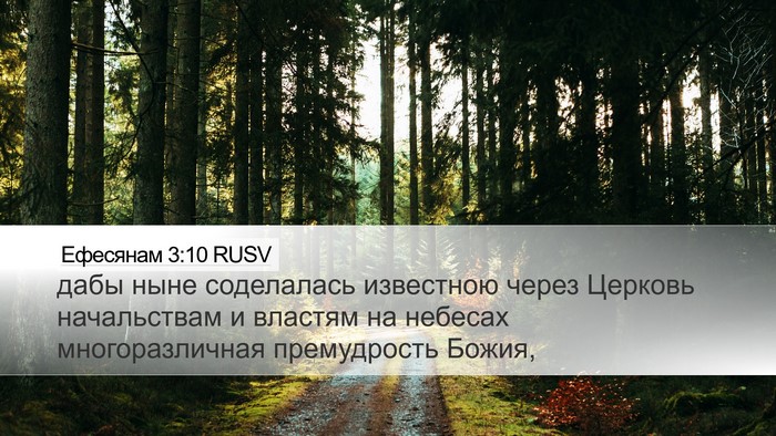 Ефесянам 3:10 RUSV Bible Verse Image