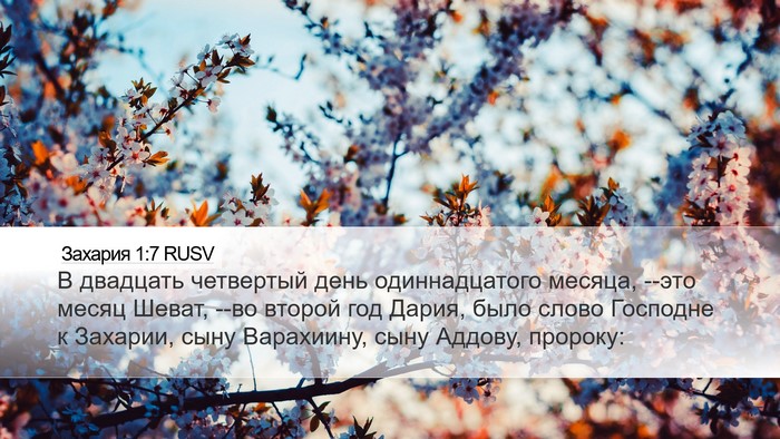 Захария 1:7 RUSV Desktop Wallpaper - В двадцать четвертый день - Desktop Bible Verse Wallpaper
