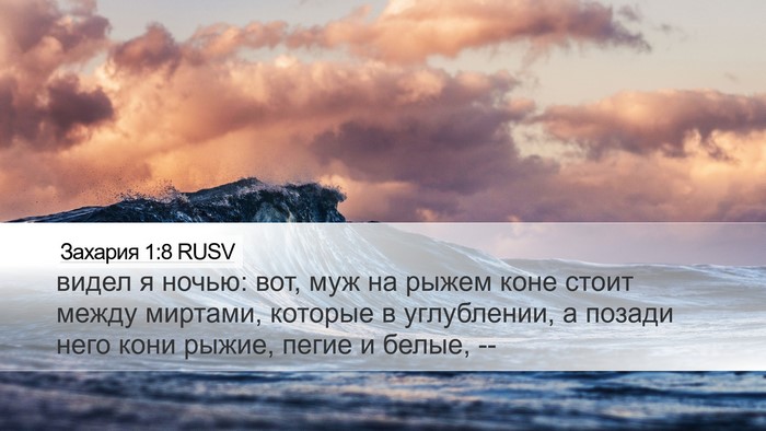 Захария 1:8 RUSV Bible Verse Image