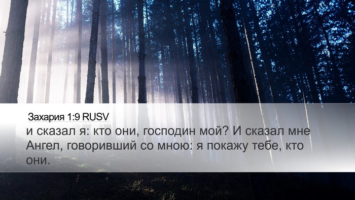Захария 1:9 RUSV Bible Verse Image
