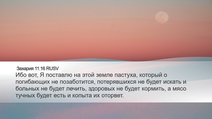Захария 11:16 RUSV Bible Verse Image