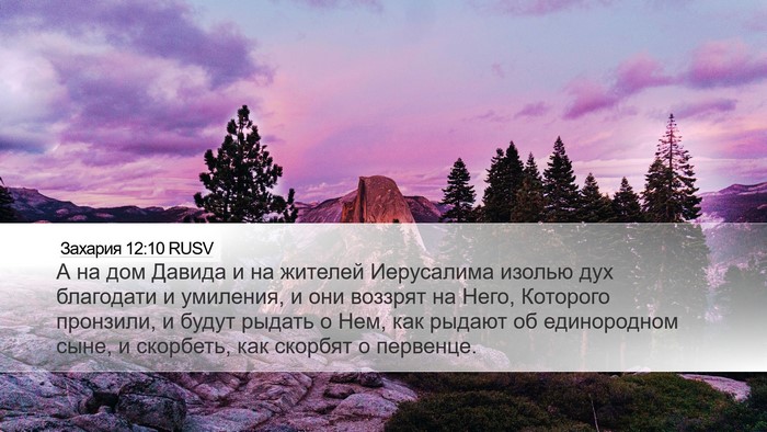 Захария 12:10 RUSV Bible Verse Image